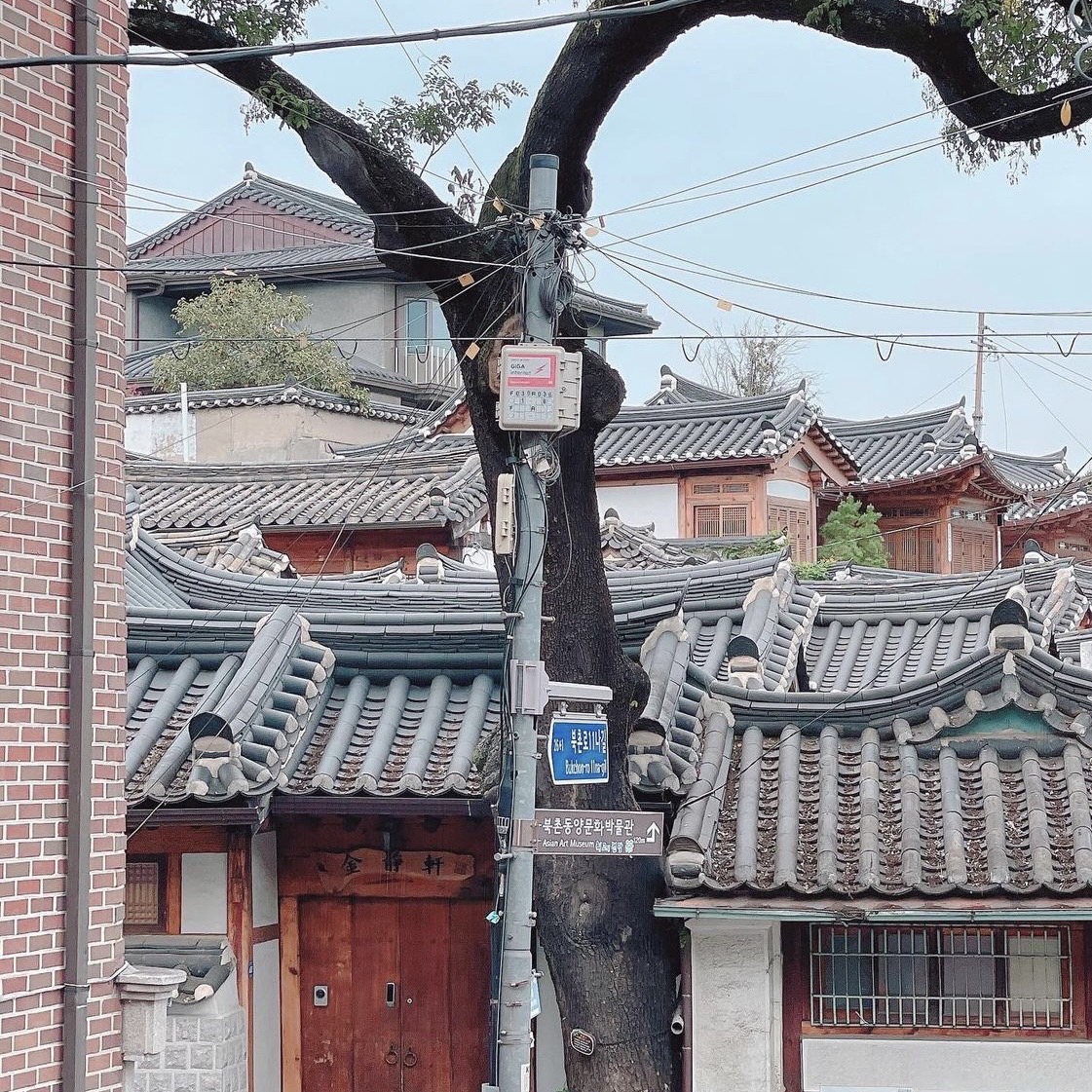 きぼう建設 | 10月　社員旅行in韓国