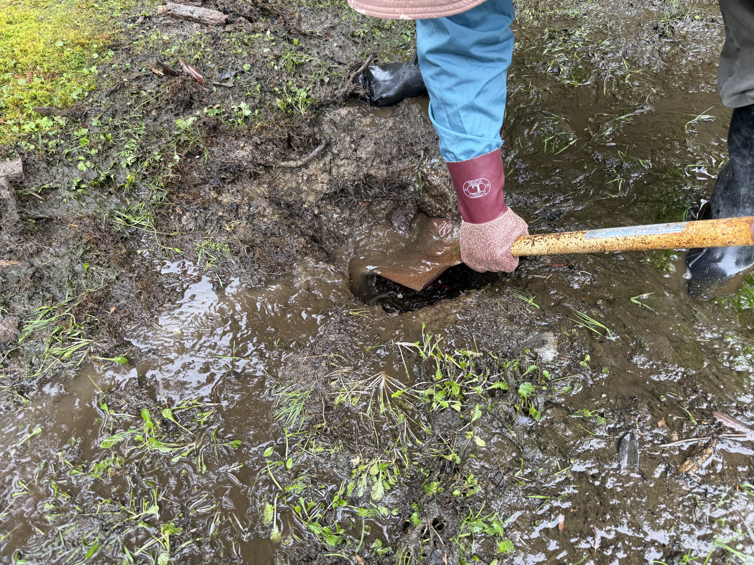 きぼう建設 | 高野山　金剛三昧院　多宝塔周囲排水管調査