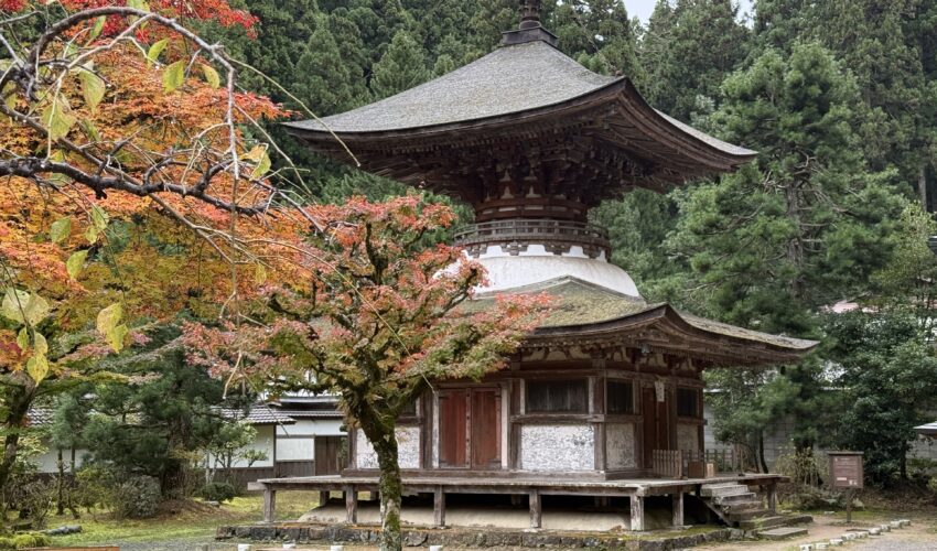 きぼう建設 | 高野山　金剛三昧院　多宝塔周囲排水管調査