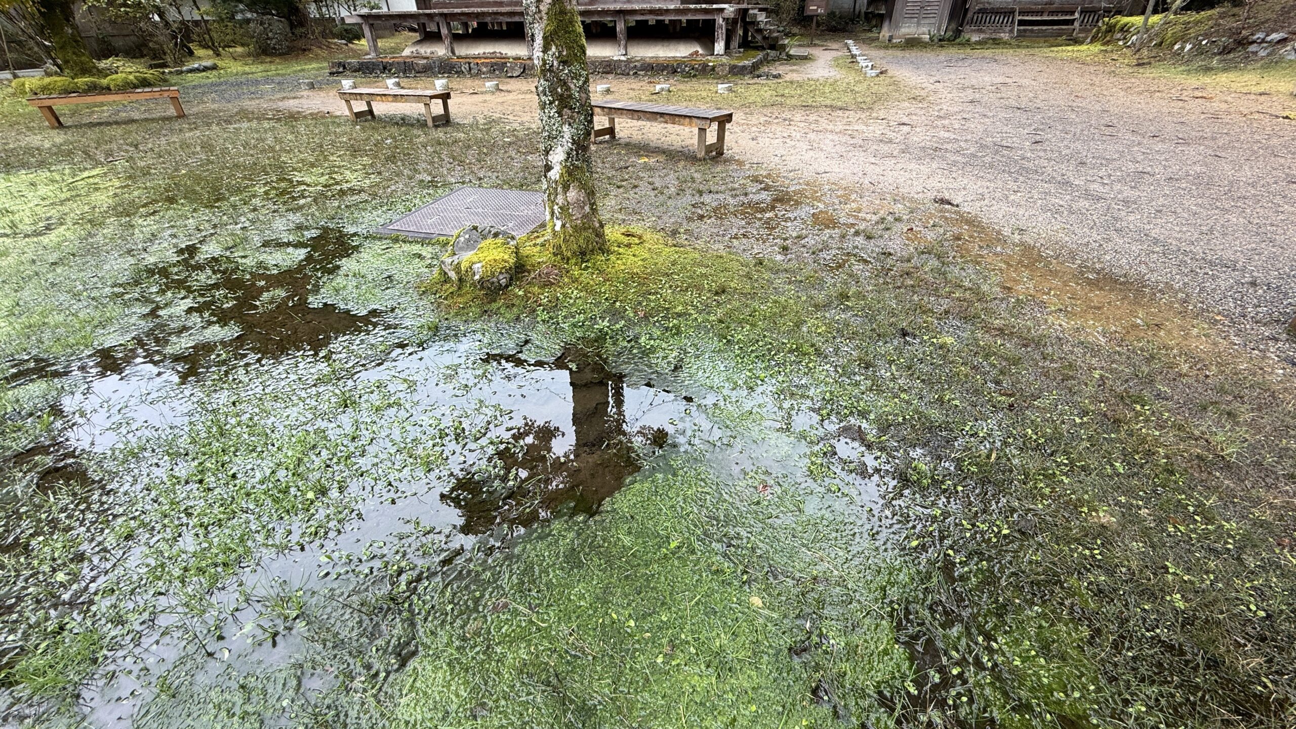 きぼう建設 | 高野山　金剛三昧院　多宝塔周囲排水管調査